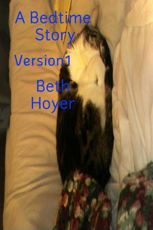 Cover of the book A Bedtime Story Version 1 by Beth Hoyer, Beth Hoyer