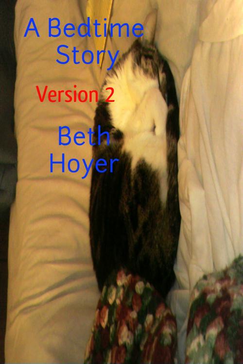 Cover of the book A Bedtime Story Version 2 by Beth Hoyer, Beth Hoyer