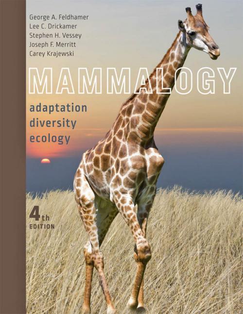 Cover of the book Mammalogy by George A. Feldhamer, Lee C. Drickamer, Stephen H. Vessey, Joseph F. Merritt, Carey Krajewski, Johns Hopkins University Press
