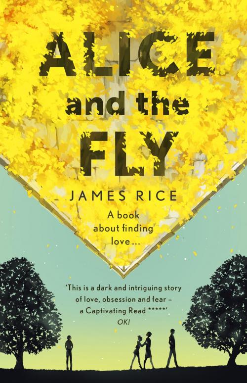 Cover of the book Alice and the Fly by James Rice, Hodder & Stoughton
