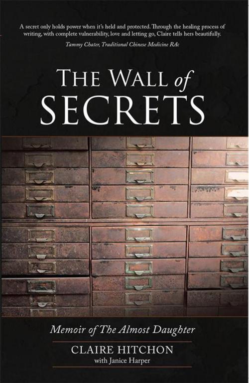 Cover of the book The Wall of Secrets by Claire Hitchon, Balboa Press