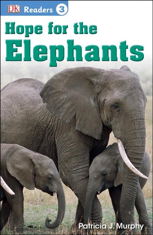 Cover of the book DK Readers L3: Hope for the Elephants by Patricia J. Murphy, DK Publishing