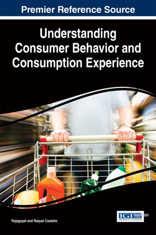 Cover of the book Understanding Consumer Behavior and Consumption Experience by Rajagopal, Raquel Castaño, IGI Global
