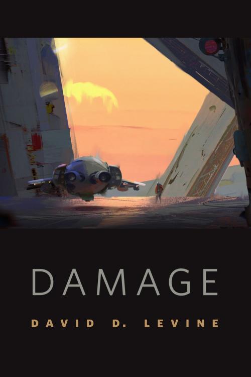 Cover of the book Damage by David D. Levine, Tom Doherty Associates