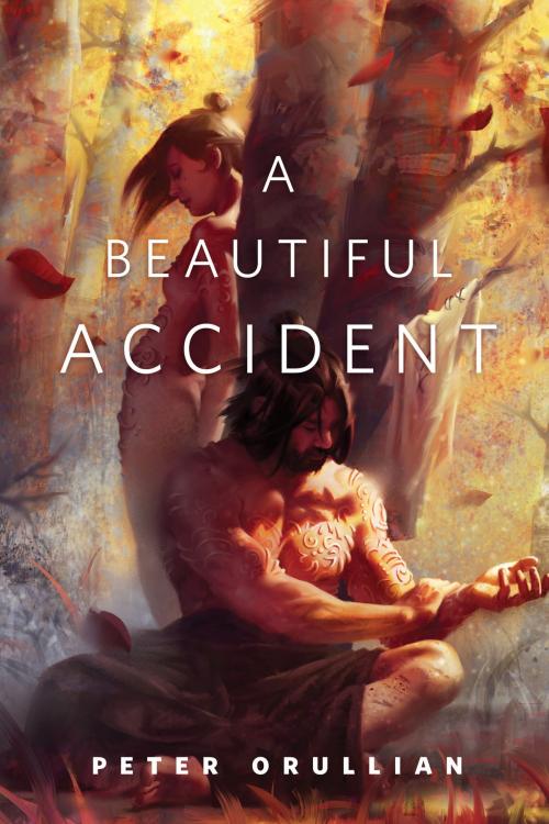 Cover of the book A Beautiful Accident by Peter Orullian, Tom Doherty Associates