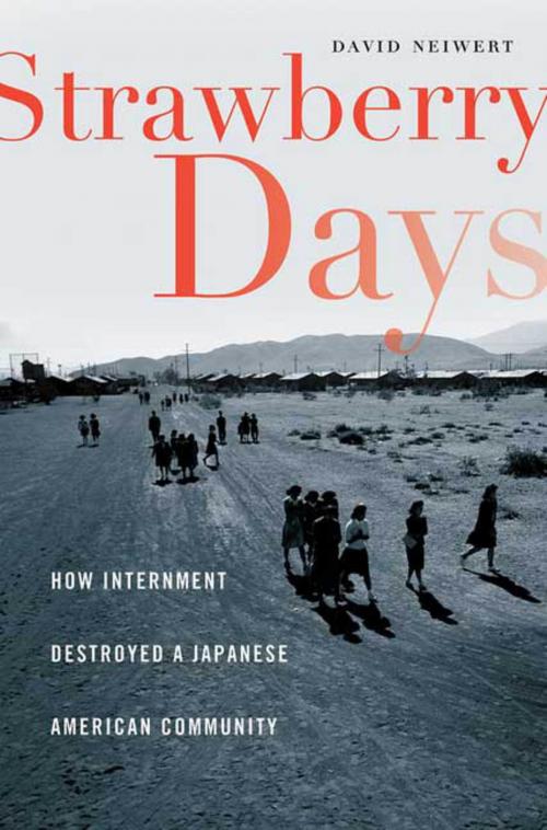 Cover of the book Strawberry Days by David A. Neiwert, St. Martin's Press