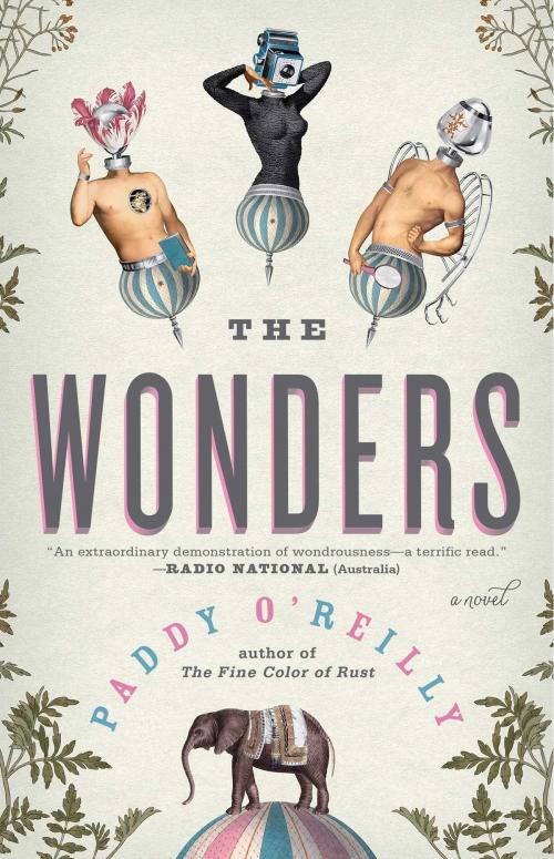Cover of the book The Wonders by Paddy O'Reilly, Washington Square Press