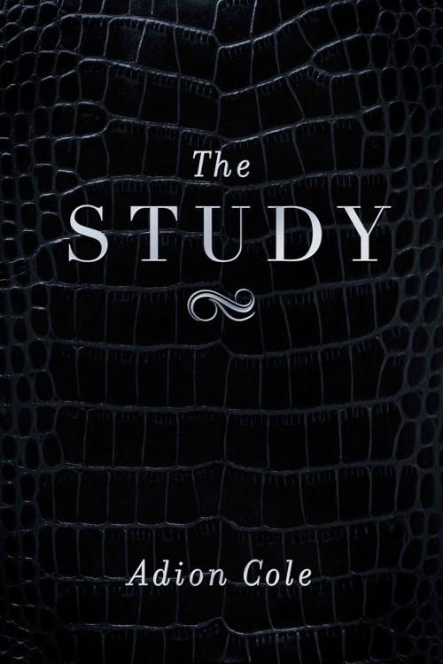 Cover of the book The Study by Adion Cole, BookBaby