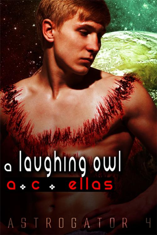 Cover of the book A Laughing Owl by A.C. Ellas, eXtasy Books Inc