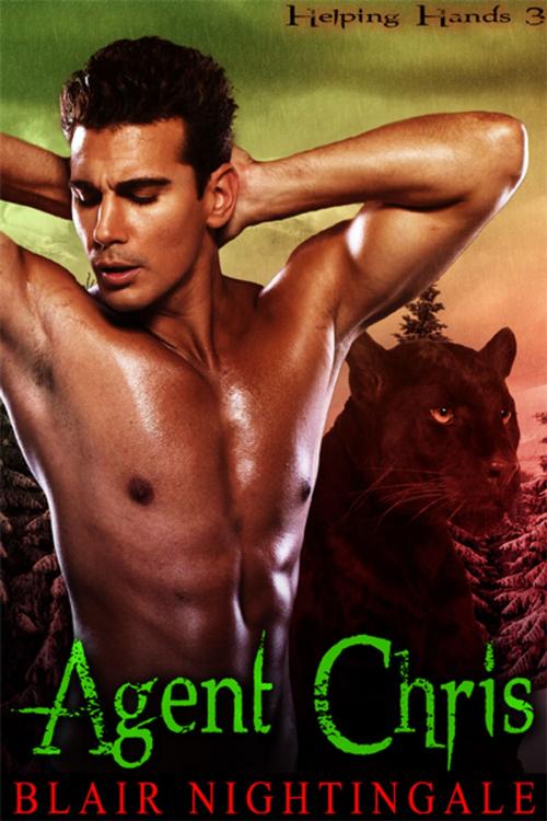 Cover of the book Agent Chris by Blair Nightingale, eXtasy Books Inc