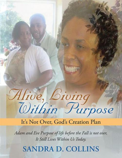 Cover of the book Alive, Living Within Purpose by Sandra D. Collins, WestBow Press