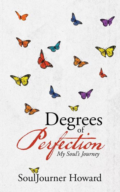 Cover of the book Degrees of Perfection by SoulJourner Howard, WestBow Press