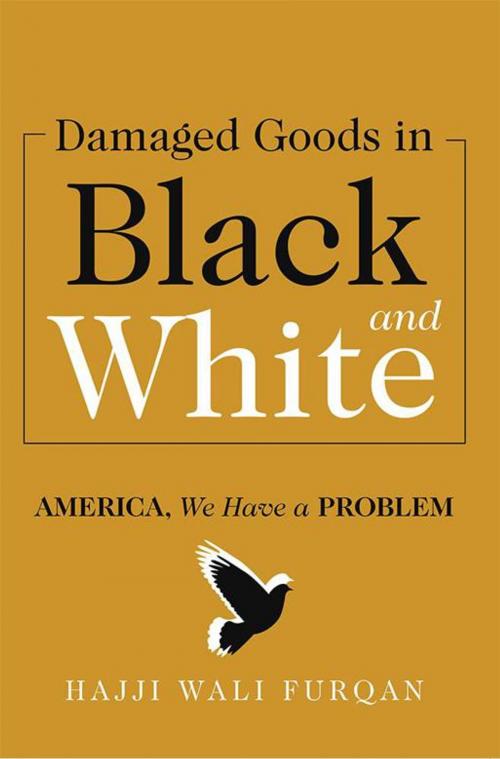 Cover of the book Damaged Goods in Black and White by Hajji Furqan, iUniverse