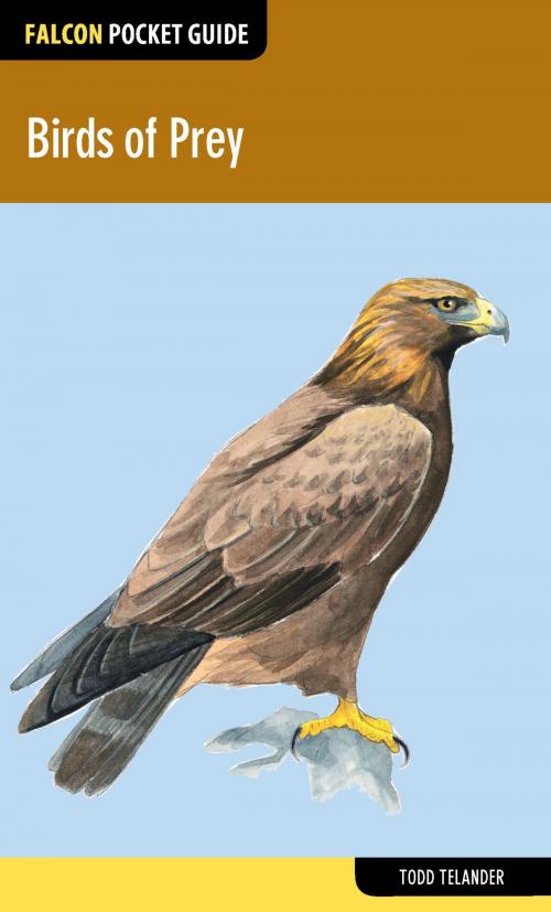 Cover of the book Birds of Prey by Todd Telander, Falcon Guides