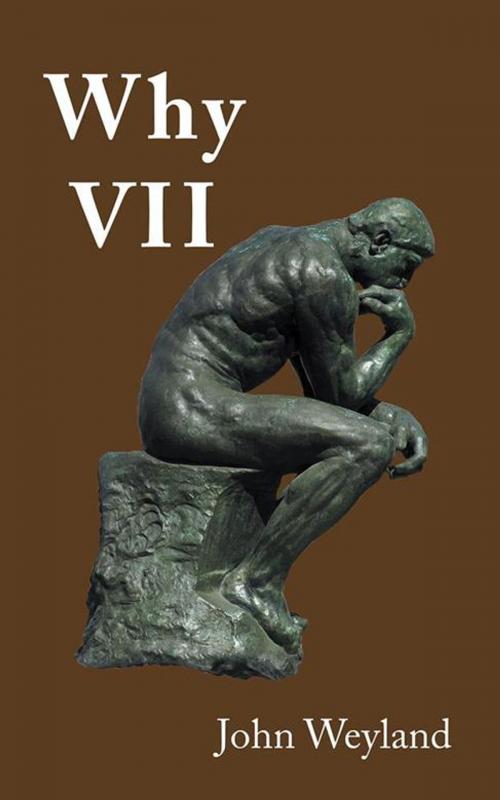 Cover of the book Why Vii by John Weyland, AuthorHouse