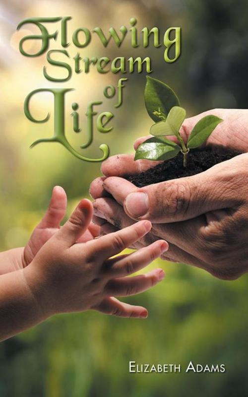 Cover of the book Flowing Stream of Life by Elizabeth Adams, AuthorHouse UK