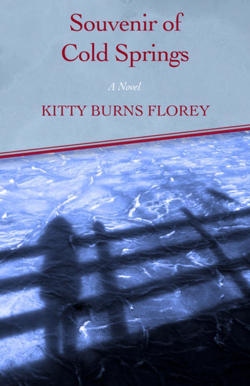 Cover of the book Souvenir of Cold Springs by Kitty Burns Florey, Open Road Distribution