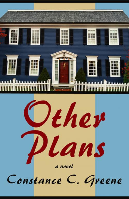 Cover of the book Other Plans by Constance C. Greene, Open Road Distribution