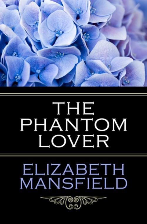 Cover of the book The Phantom Lover by Elizabeth Mansfield, Open Road Media