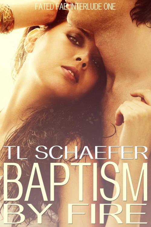 Cover of the book Baptism by Fire by TL Schaefer, Terri Schaefer