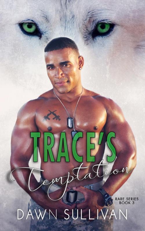Cover of the book Trace's Temptation by Dawn Sullivan, Dawn Sullivan