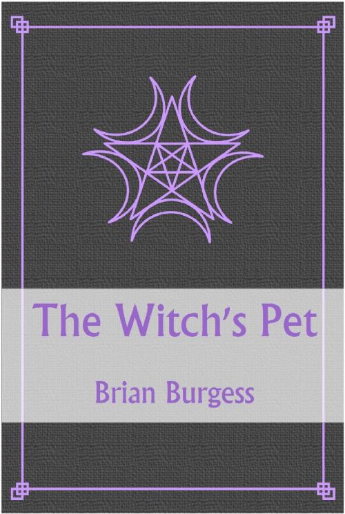Cover of the book The Witch's Pet by Brian D. Burgess, Brian D. Burgess