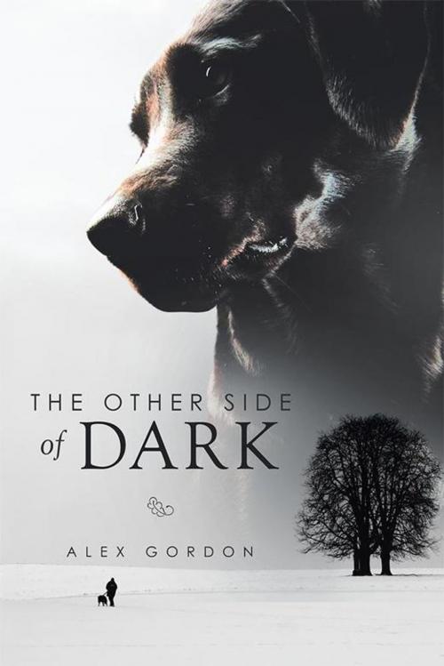 Cover of the book The Other Side of Dark by Alex Gordon, Xlibris AU