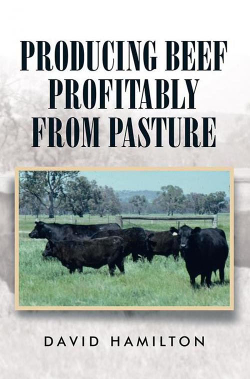 Cover of the book Producing Beef Profitably from Pasture by David Hamilton, Xlibris AU