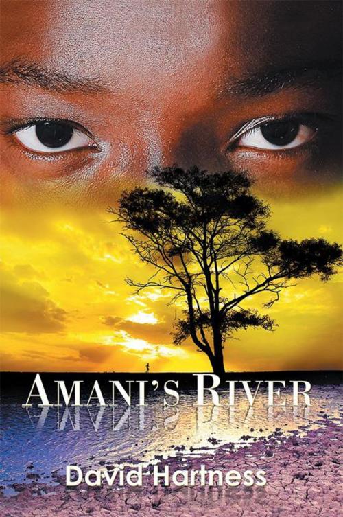 Cover of the book Amani's River by David Hartness, Xlibris US