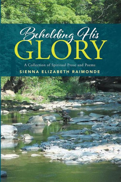 Cover of the book Beholding His Glory by Sienna Elizabeth Raimonde, Xlibris US