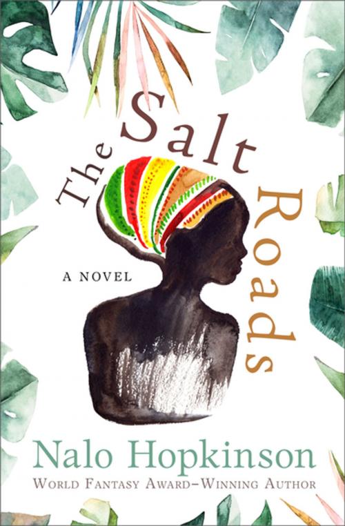 Cover of the book The Salt Roads by Nalo Hopkinson, Open Road Media