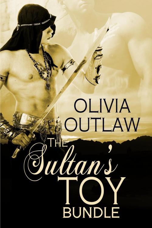 Cover of the book The Sultan's Toy Boxed Set (Bundle) by Olivia Outlaw, Quacking Alone Romances
