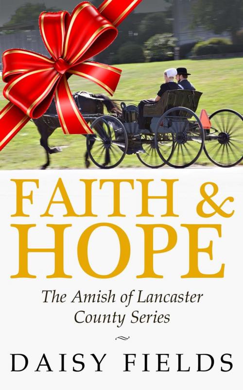 Cover of the book Faith and Hope in Lancaster by Daisy Fields, Daisy Fields