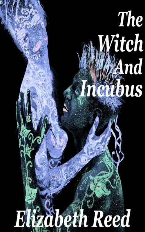 Cover of the book The Witch and the Incubus by Elizabeth Reed, LB Books