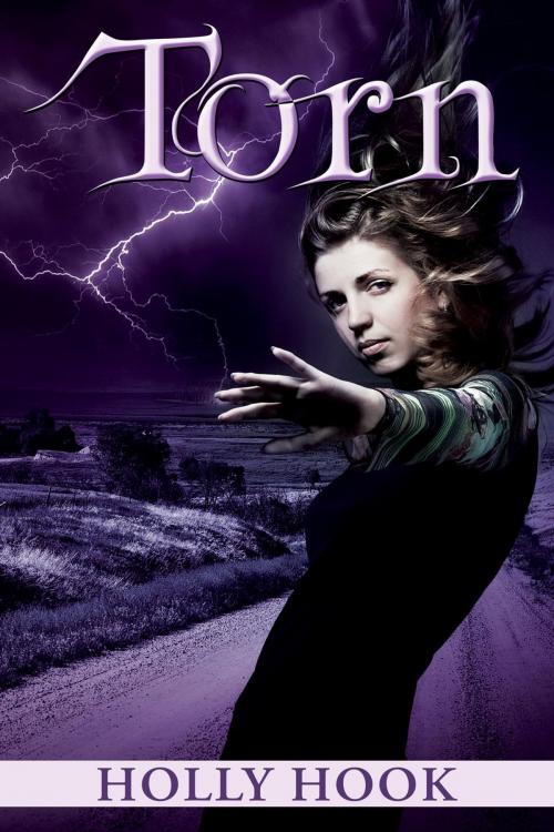 Cover of the book Torn by Holly Hook, Holly Hook