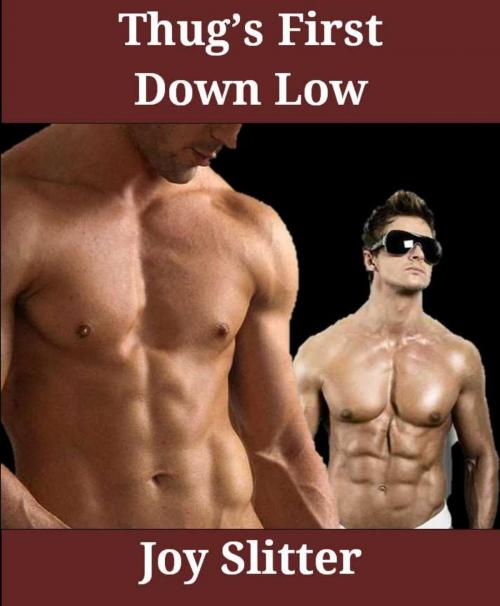 Cover of the book Thugs Down Low by Joy Slitter, Joy Slitter