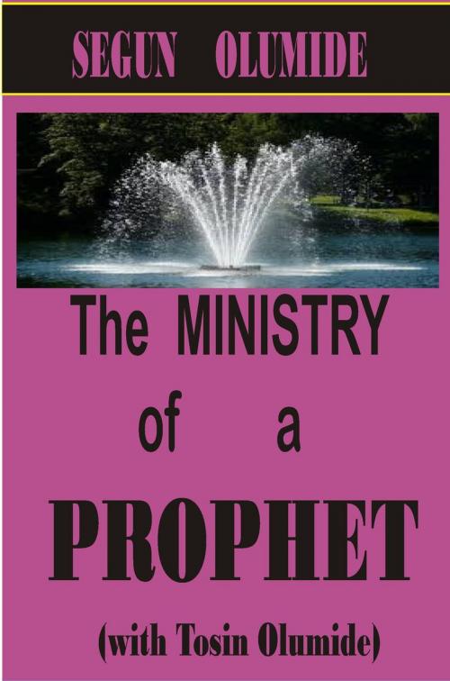 Cover of the book The Ministry of a Prophet by SEGUN OLUMIDE, Tosin Olumide, SEGUN OLUMIDE