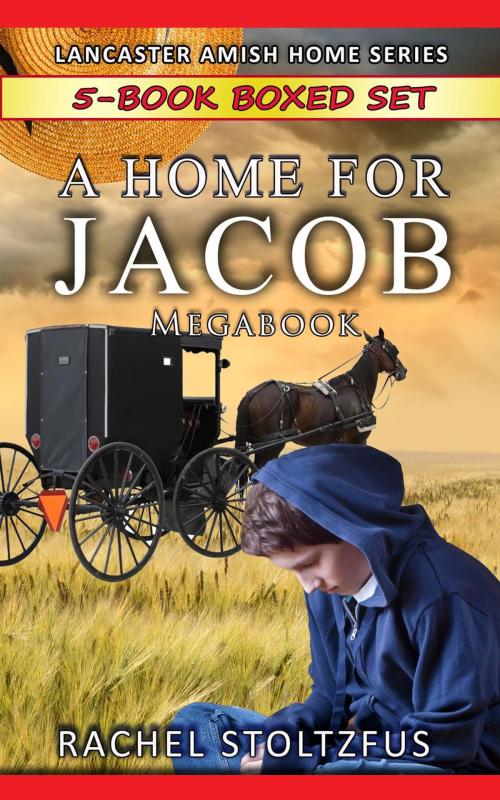 Cover of the book A Lancaster Home for Jacob 5-Book Boxed Set Bundle by Rachel Stoltzfus, Global Grafx Press