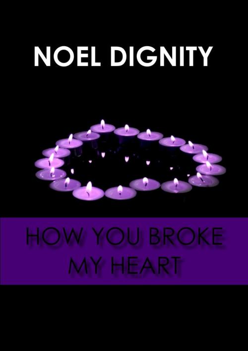 Cover of the book How You Broke My Heart by Noel Dignity, 22 Lions Bookstore