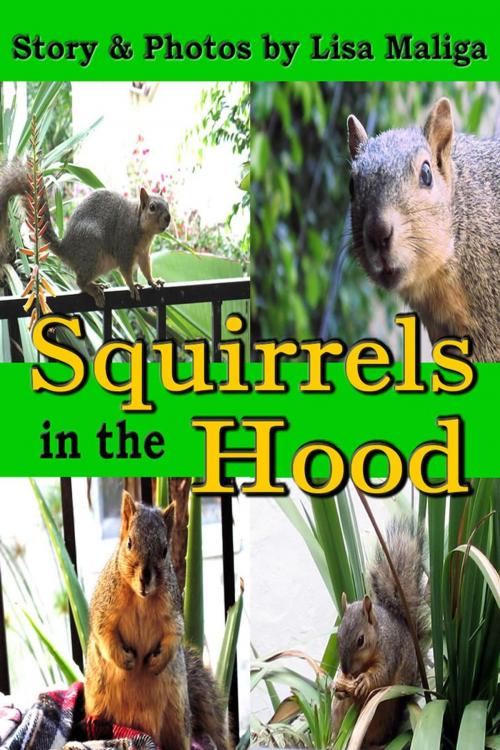 Cover of the book Squirrels in the Hood by Lisa Maliga, Lisa Maliga