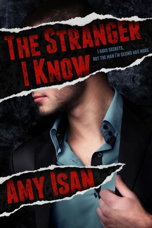 Cover of the book The Stranger I Know by Amy Isan, Amy Isan