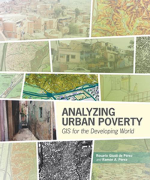 Cover of the book Analyzing Urban Poverty by Rosario Giusti de Pérez, Ramón Pérez, Esri Press