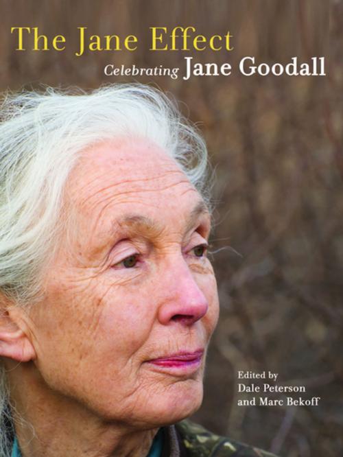 Cover of the book The Jane Effect by , Trinity University Press
