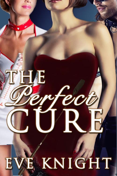 Cover of the book The Perfect Cure by Eve Knight, Excessica