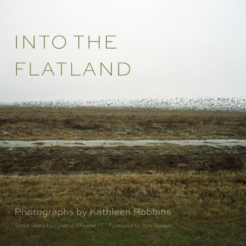 Cover of the book Into the Flatland by Cynthia Shearer, University of South Carolina Press
