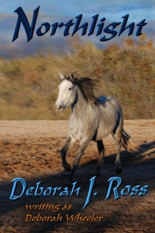 Cover of the book Northlight by Deborah J. Ross, Book View Cafe