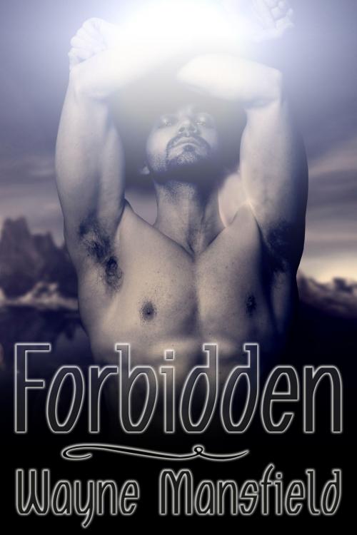 Cover of the book Forbidden by Wayne Mansfield, JMS Books LLC