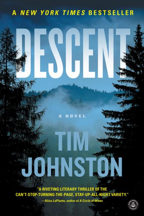 Cover of the book Descent by Tim Johnston, Algonquin Books