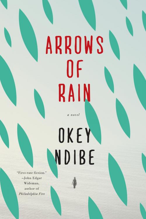 Cover of the book Arrows of Rain by Okey Ndibe, Soho Press