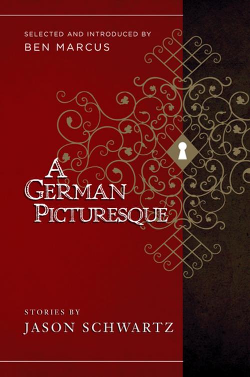 Cover of the book A German Picturesque by Jason Schwartz, Counterpoint